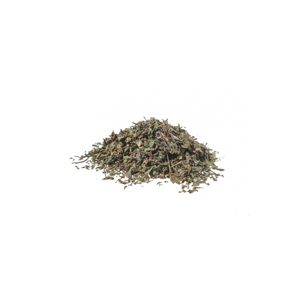 MENTA PIPERITA Foglie Extra 1 kg Biokyma