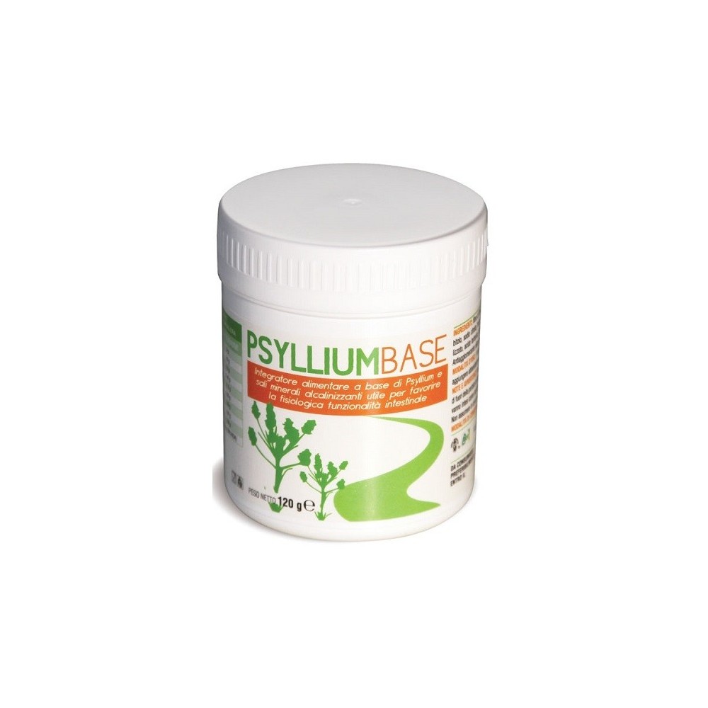 PSYLLIUM BASE POLVERE 120 G