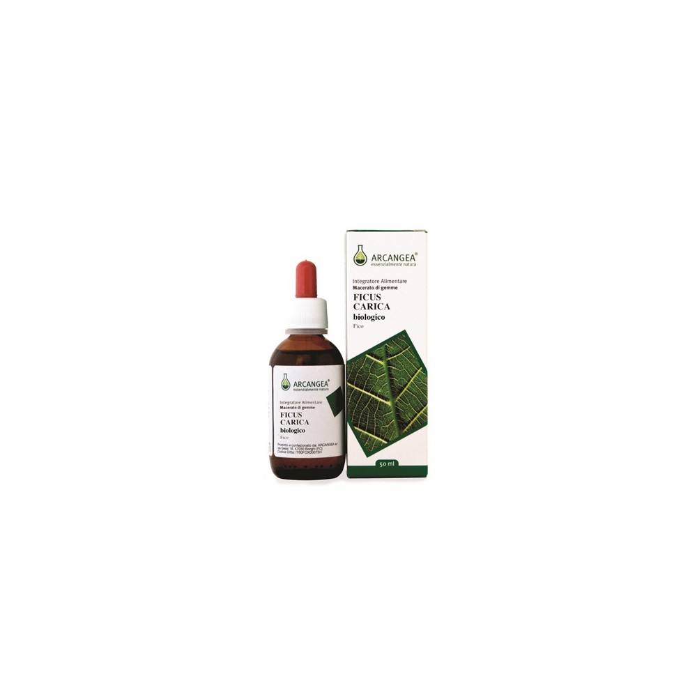 FICUS CARICA BIO GEMMODERIVATO 50 ML Arcangea