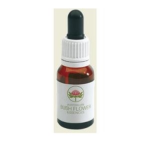 GREY SPIDER FLOWER AUSTRALIAN 15 ML