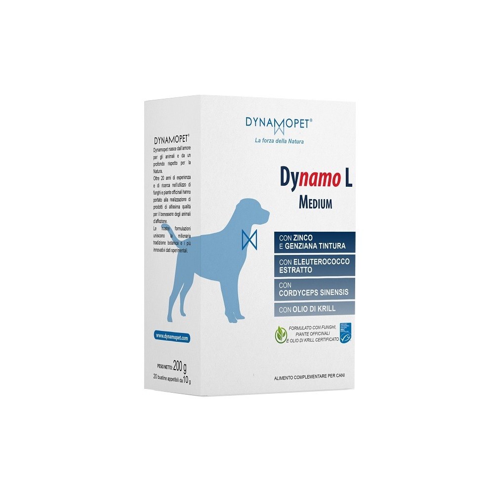 DYNAMO L MEDIUM 20 BUSTINE DA 10 G