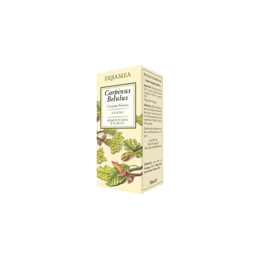 CARPINUS BETULUS Gemmoderivato 50 ml Erbamea