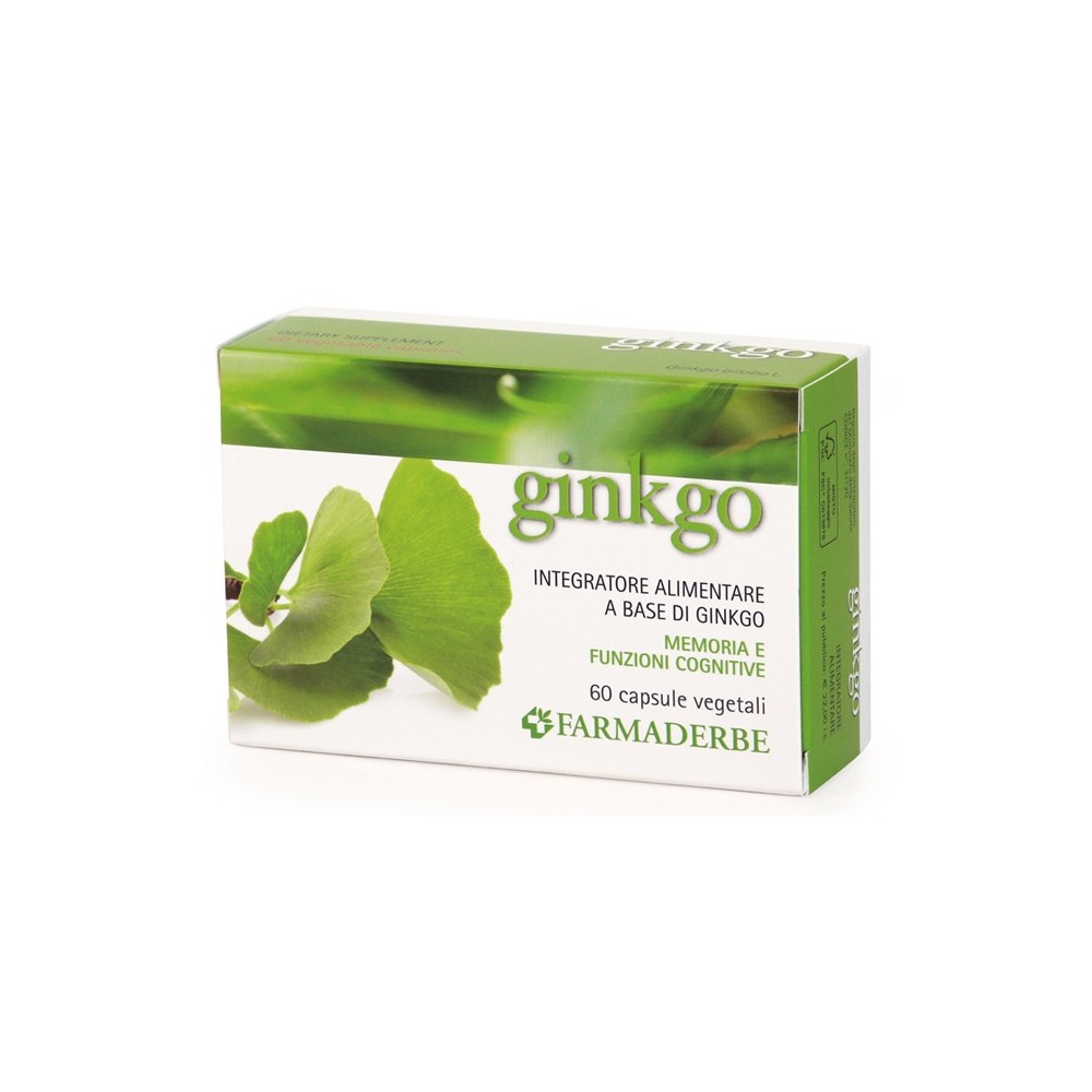 GINKGO BILOBA 60 CAPSULE