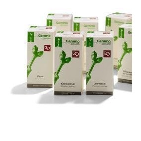 KIWI MACERATO GLICERICO 50 ML