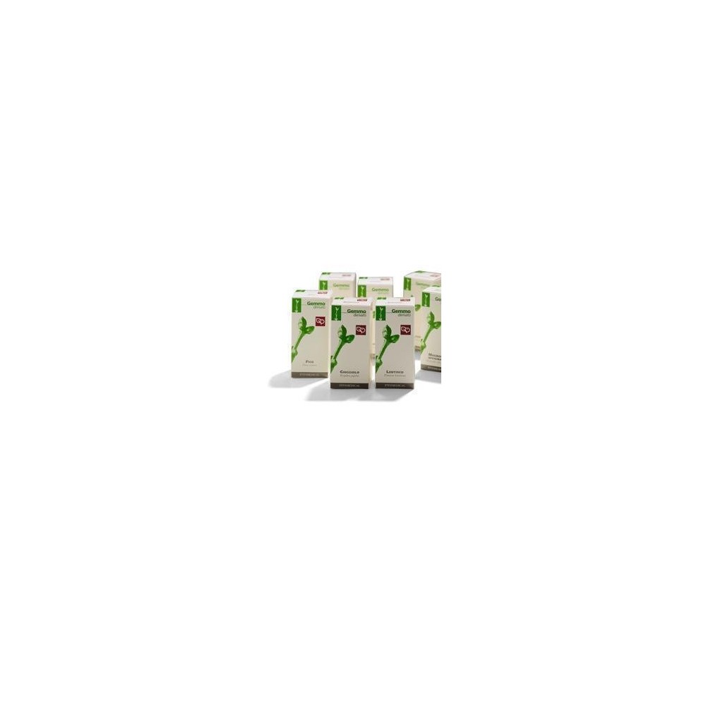 KIWI MACERATO GLICERICO 50 ML