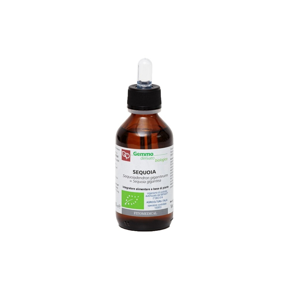 SEQUOIA Macerato Glicerinato Bio Gemme 100 ml Fitomedical