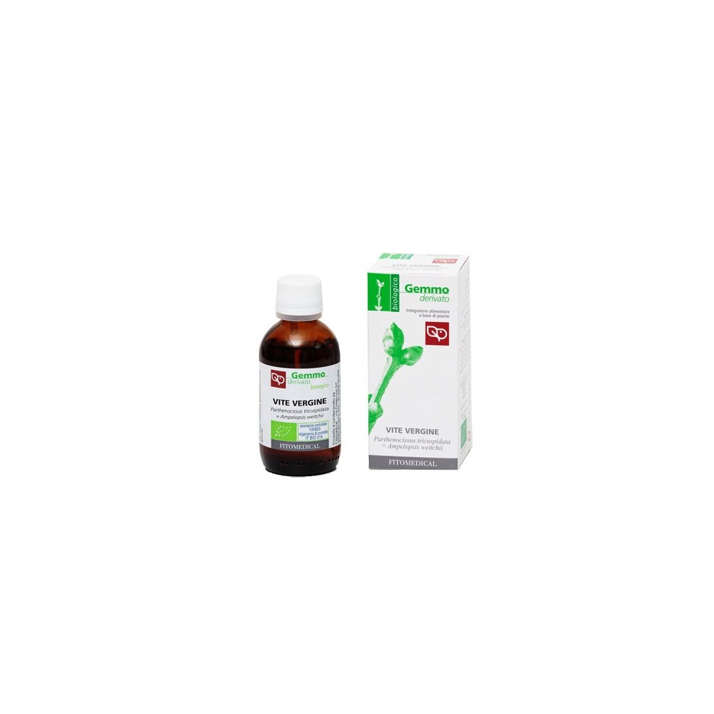 VITE VERGINE Macerato Glicerinato Bio Gemme 50 ml Fitomedical