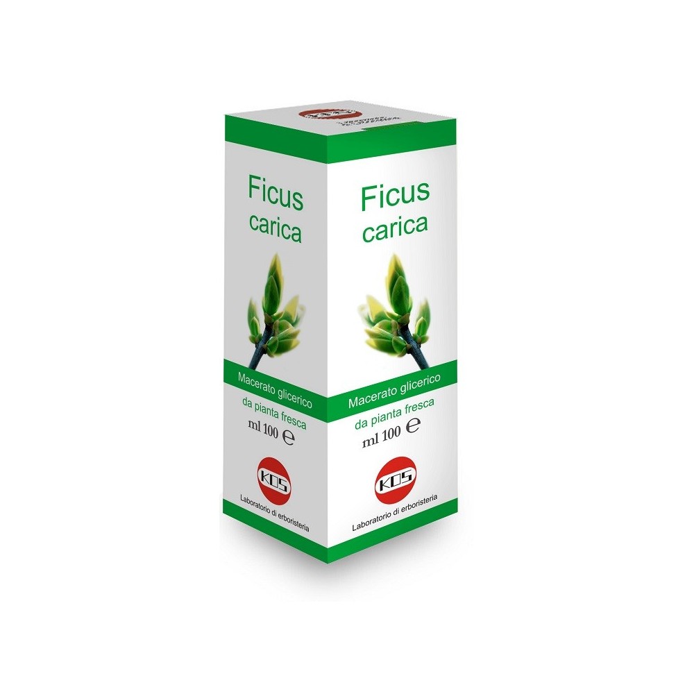 FICUS CARICA Macerato Glicerico 100 ml Kos