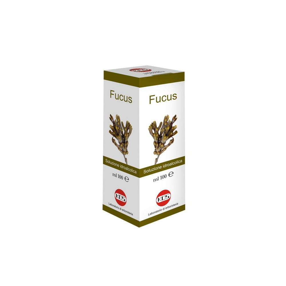 FUCUS Soluzione Idroalcolica 100 ml Kos