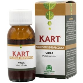 KART VIOLA SOLUZIONE IDROALCOLICA 50 ML