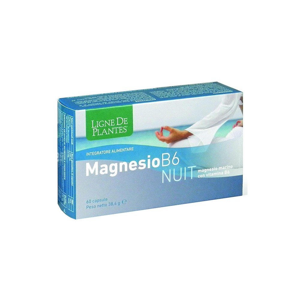 MAGNESIO B6 NUIT 60 CAPSULE