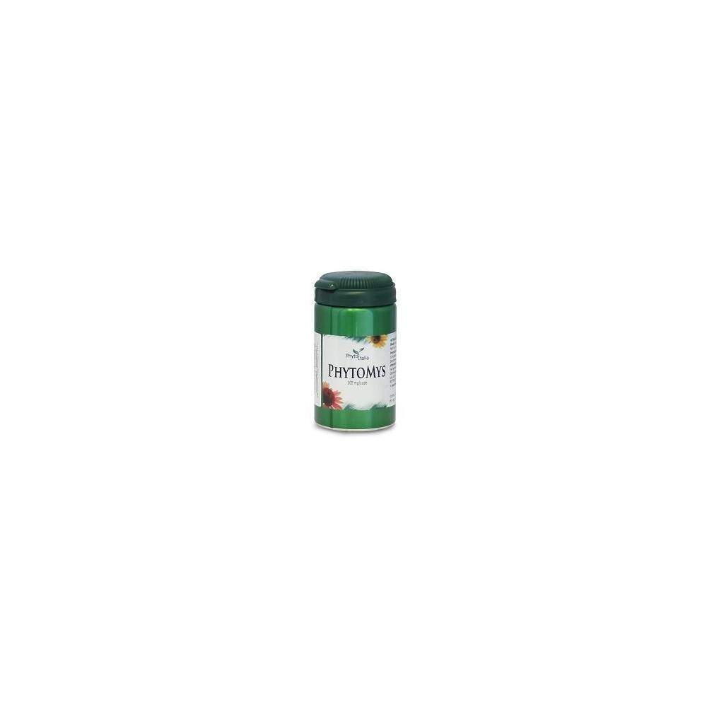 PHYTOMYS 60 CAPSULE