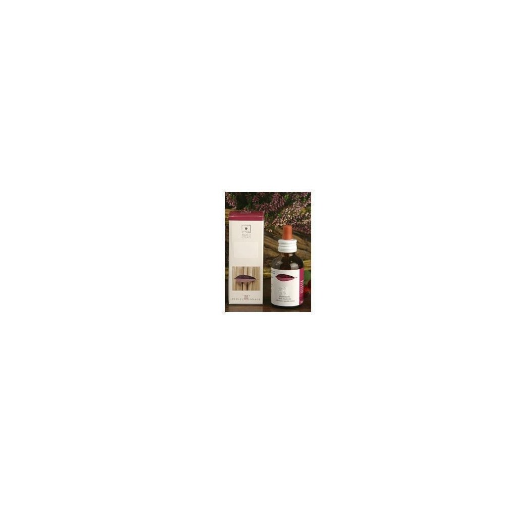 RIBES NIGRUM Macerato di Gemme 50 ml Santiveri Ibersan