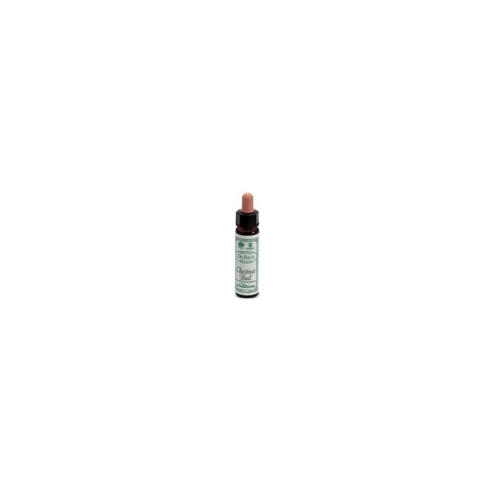 CHESTNUT BUD n° 7 integratore alimentare 10 ml Santiveri Ibersan