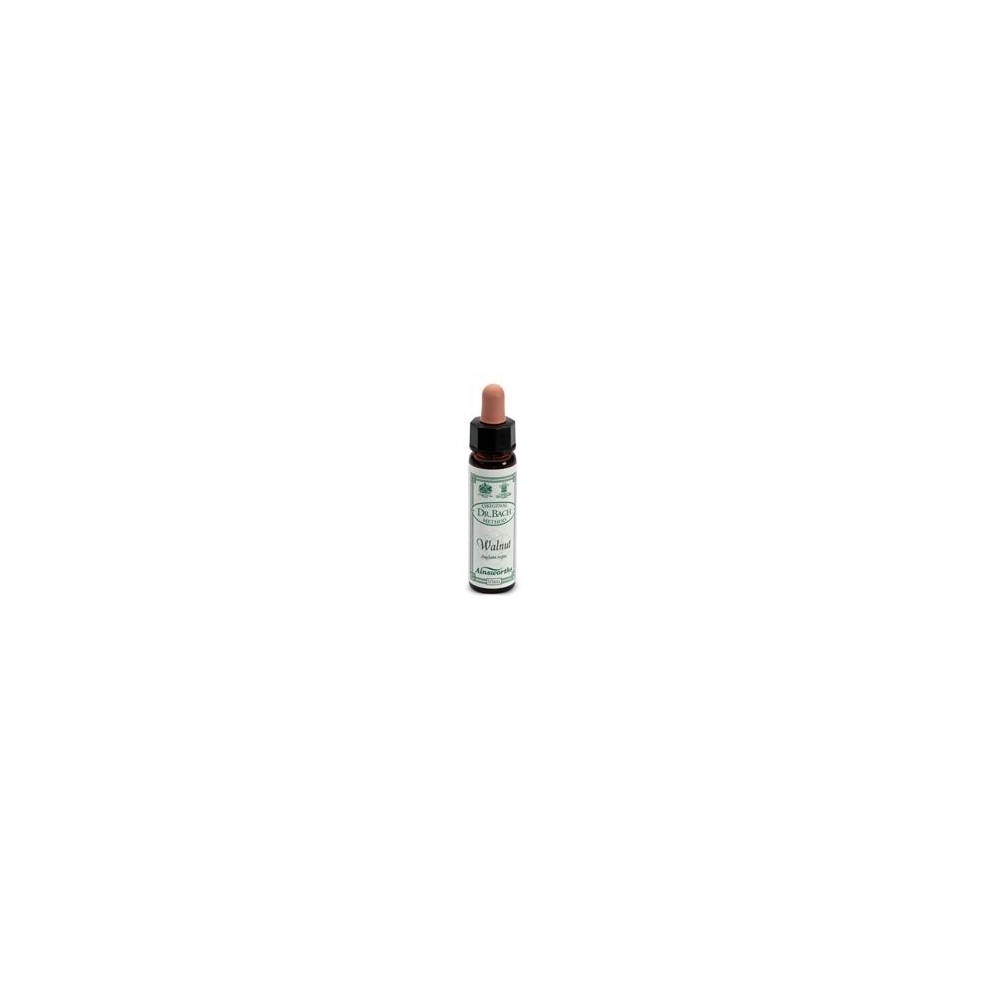 WALNUT n° 33 integratore alimentare 10 ml Santiveri Ibersan