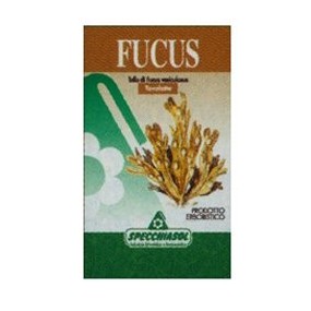 FUCUS ERBE integratore alimentare 150 tavolette Specchiasol