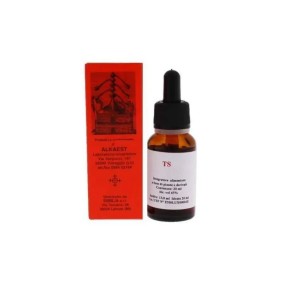 TS24 GINKGO BILOBA 20 ML