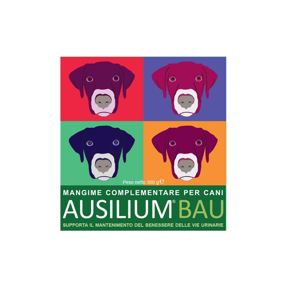 AUSILIUM BAU 300 G CON MISURINO