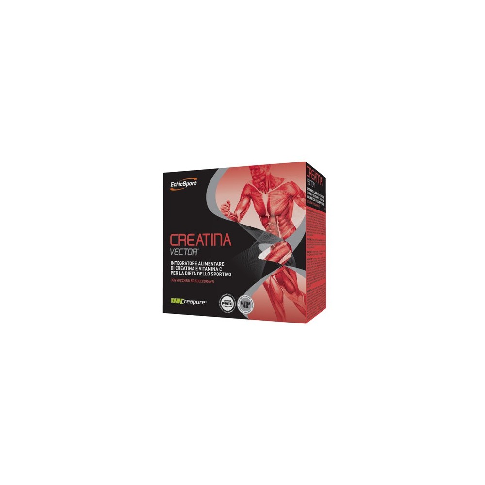 ETHICSPORT CREATINA VECTOR 20 BUSTINE 8 G