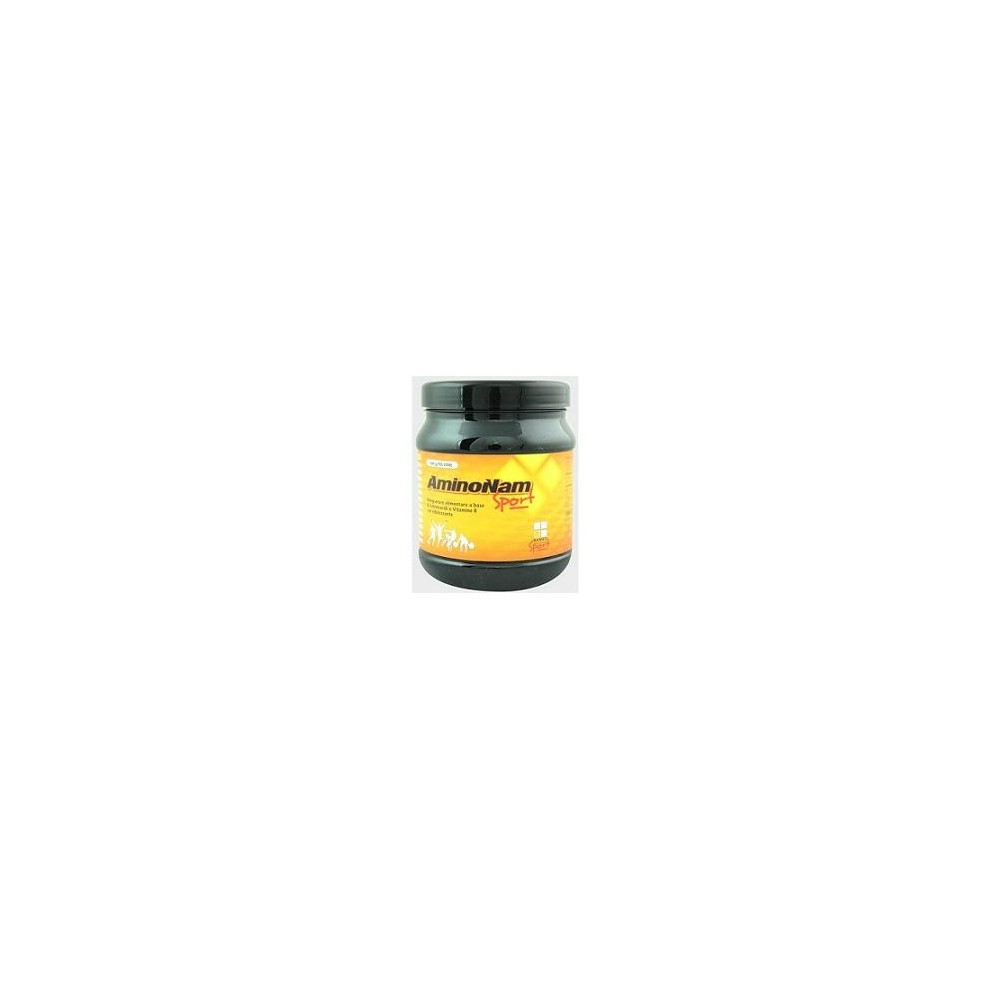 AMINONAM SPORT POLVERE BARATTOLO 500 G