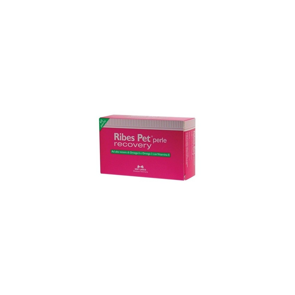 RIBES PET RECOVERY BLISTER 60 PERLE