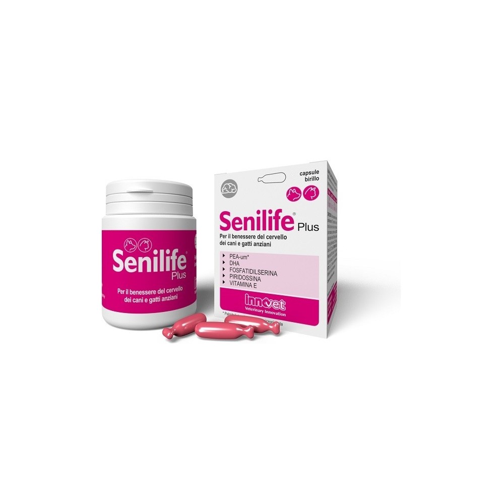 SENILIFE PLUS 30 CAPSULE