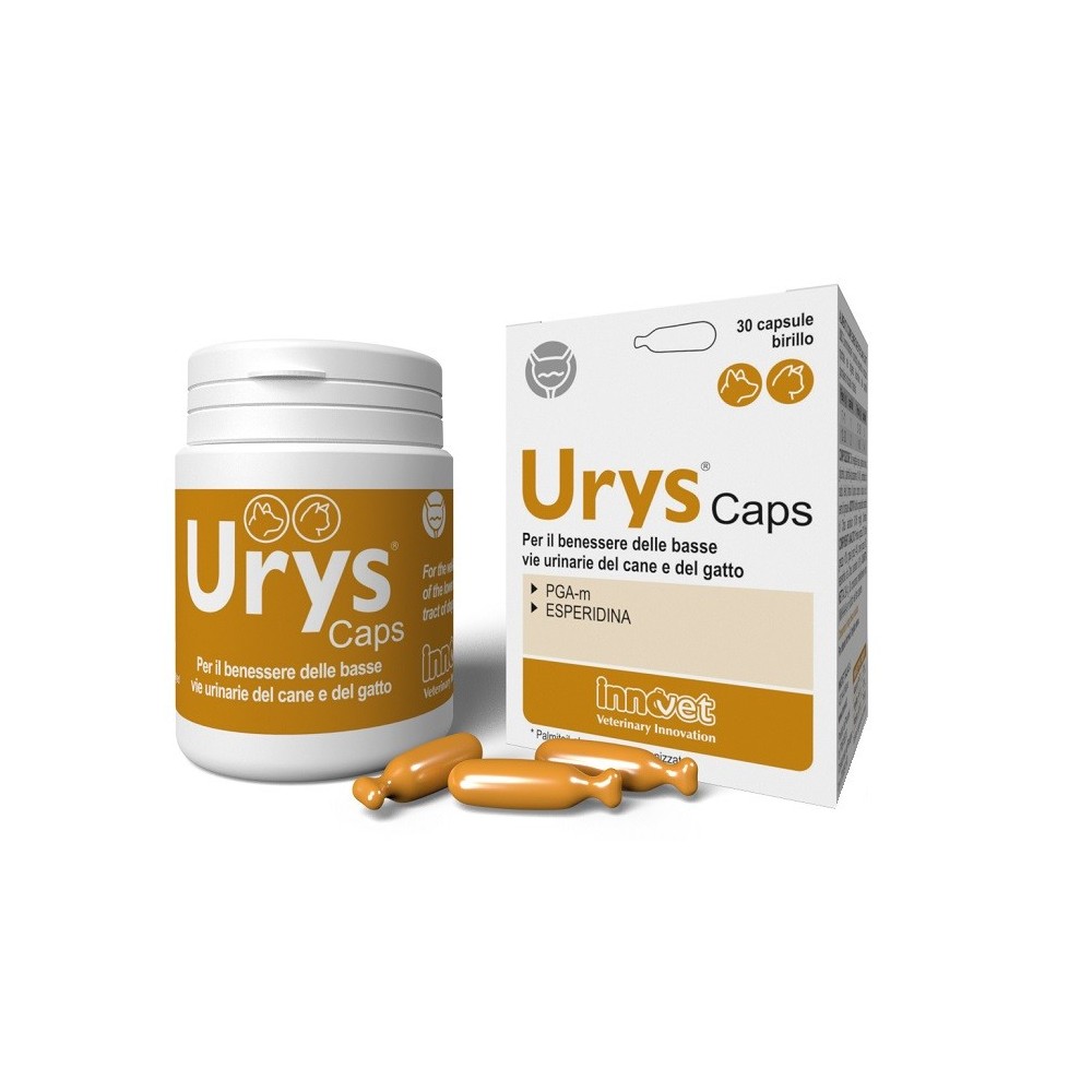 URYS CAPS 30 CAPSULE