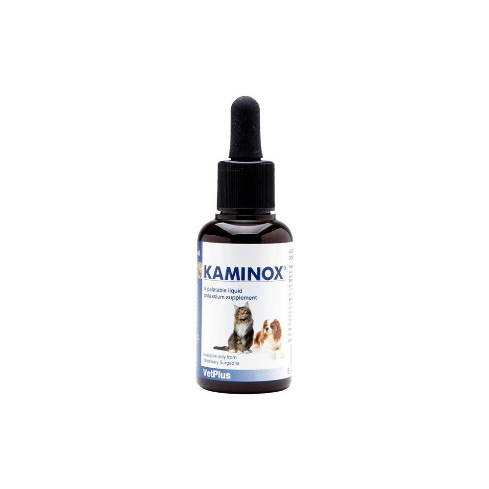 KAMINOX SCIROPPO 60 ML