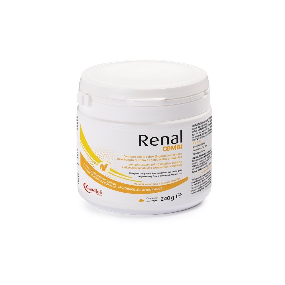 RENAL COMBI POLVERE 240 G