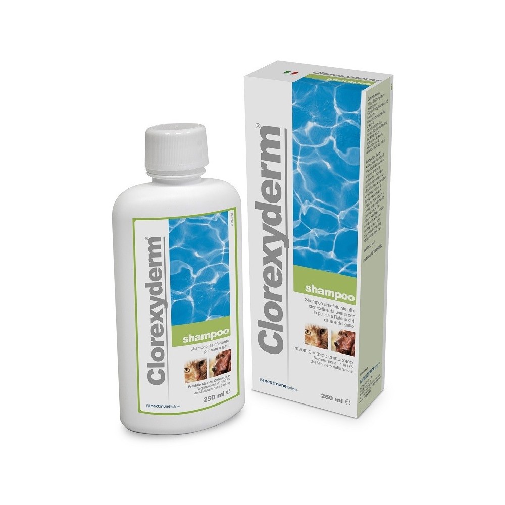 CLOREXYDERM SHAMPOO 250 ML