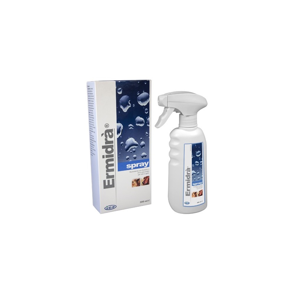 ERMIDRA' SPRAY 300 ML