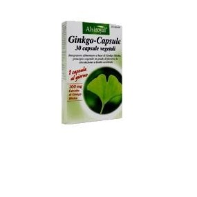 GINKGO CAPSULE 30 CAPSULE