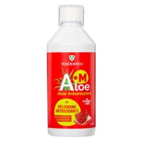 VONDERWEID ALOE + MELOGRANO 500 ML