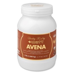 AVENA QUALITY FOOD CACAO 1,36 KG