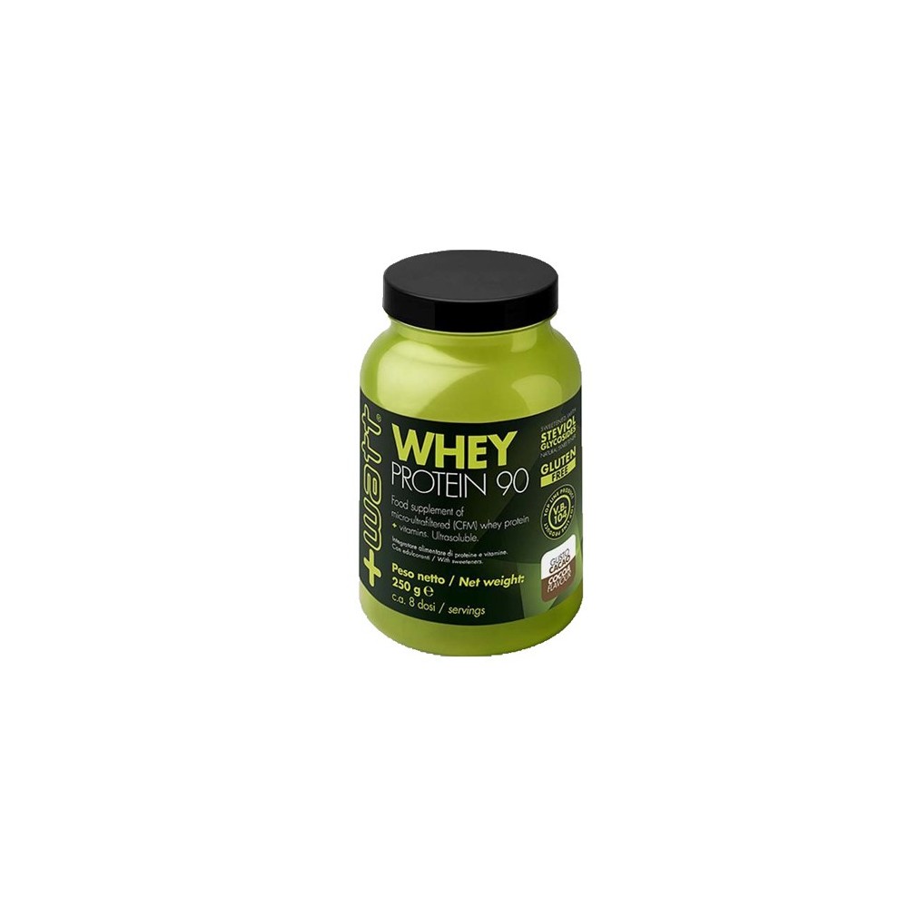 WHEY PROTEIN 90 CACAO POLVERE 250 G