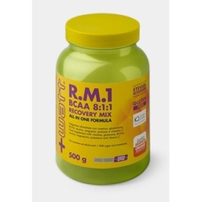 RM1 BCAA 811 RECOVERY MIX ALL IN ONE FORMULA 500 G GUSTO ARANCIA