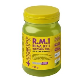 RM1 BCAA 811 RECOVERY MIX ALL IN ONE FORMULA 500 G GUSTO SPRINT APPLE