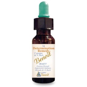 DETERMINATION REMEDY 28 ML