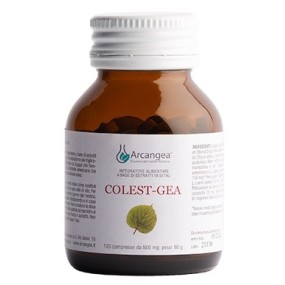 COLEST GEA CON Q10 120 COMPRESSE DA 500 MG