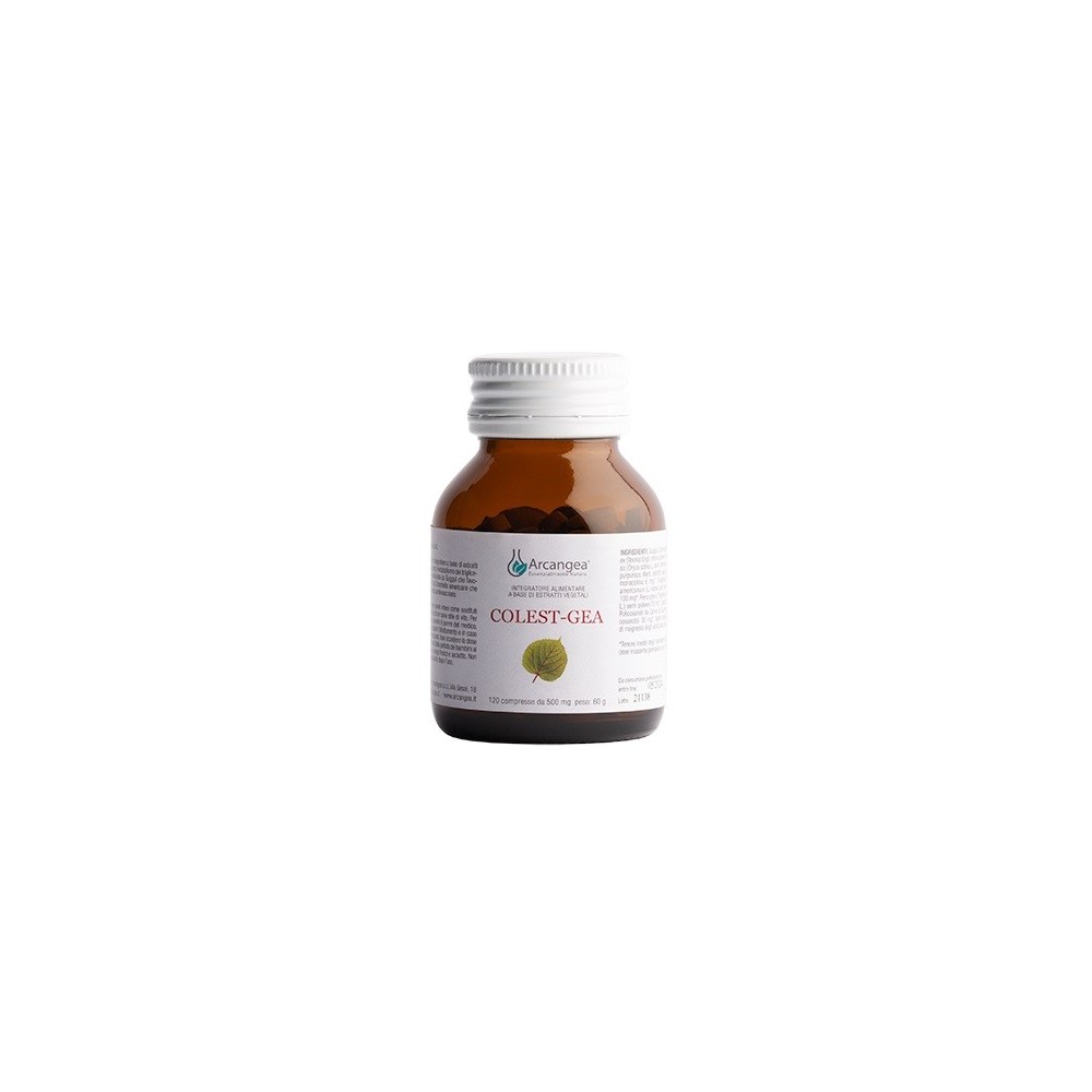 COLEST GEA CON Q10 120 COMPRESSE DA 500 MG