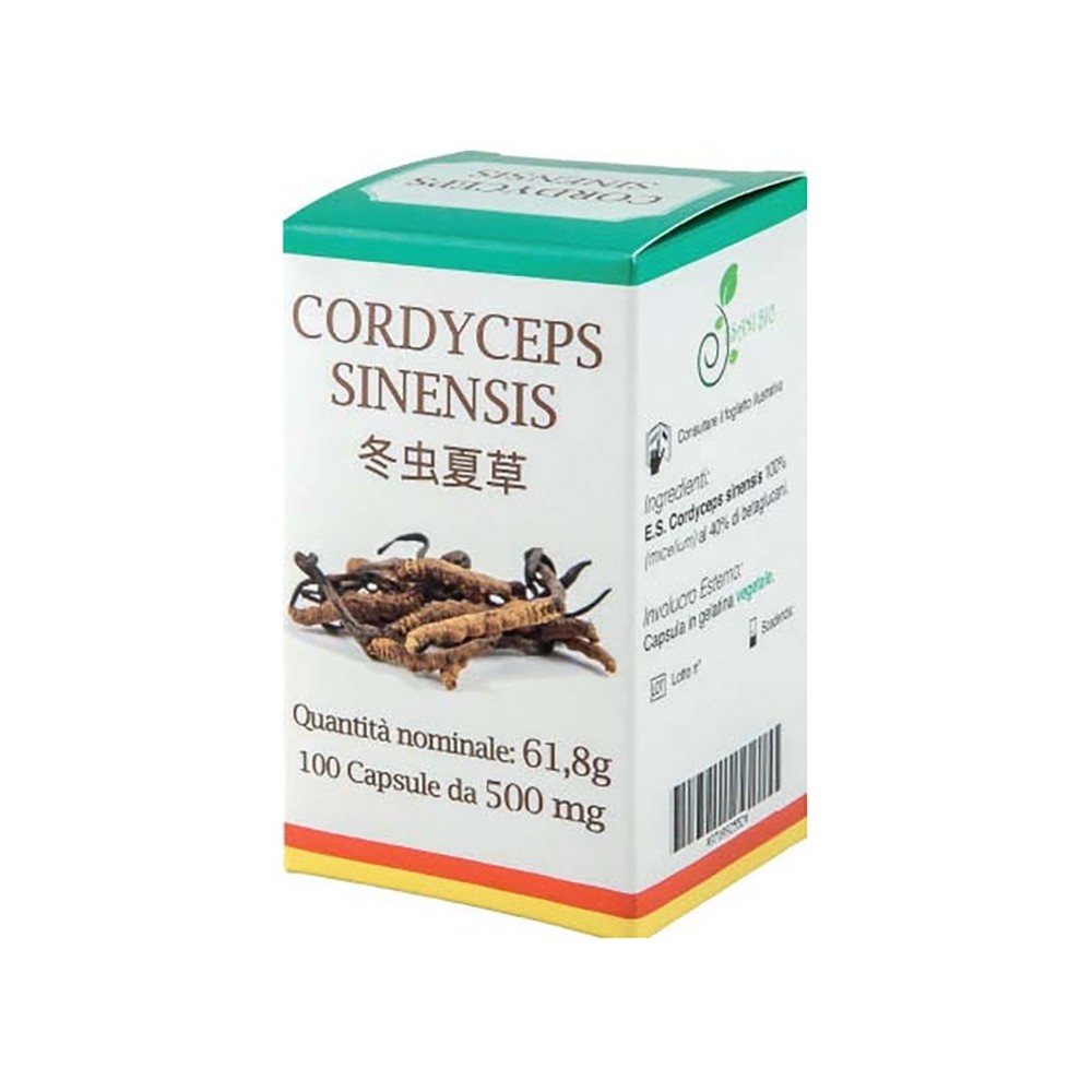 CORDYCEPS 100 CAPSULE