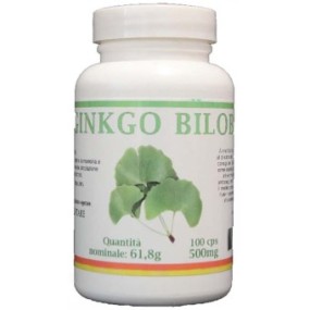 GINKGO BILOBA 100 CAPSULE