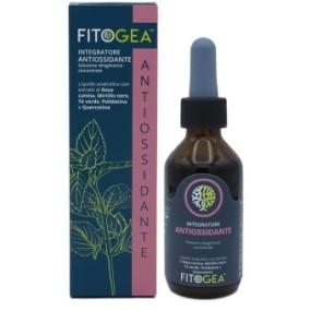 FITOGEA ANTIOSSIDANTE 100 ML