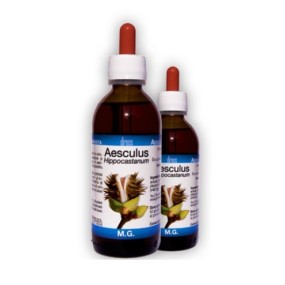 AESCULUS HIPPOCASTANUM MACERATO GLICERITO 50 ML