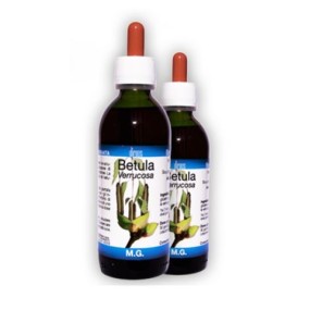 BETULA VERRUCOSA 50 ML MACERATO GLICERICO