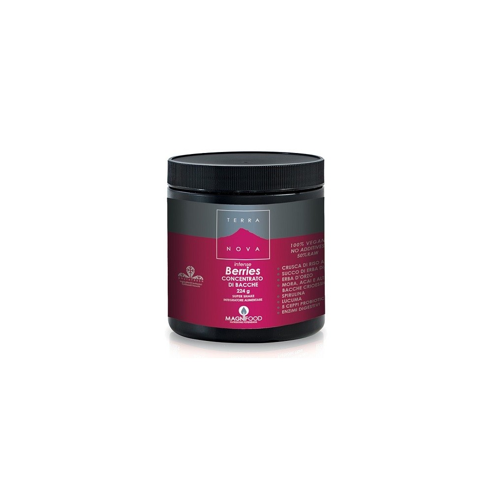 TERRANOVA SUPER SHAKE INTENSE BERRIES 224 G