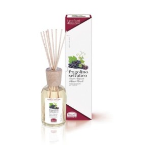 I PROFUMI DELLA CASA FRAGOLINO SELVATICO-BASTONCINI AROMATICI 250 ML