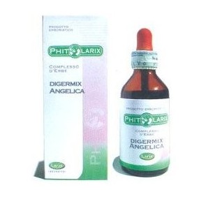 PHITOLARIX ANGELICA 100 ML