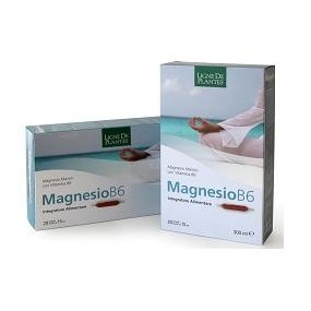 MAGNESIO B6 integratore alimentare 20 ampolle da 15 ml Natura Service