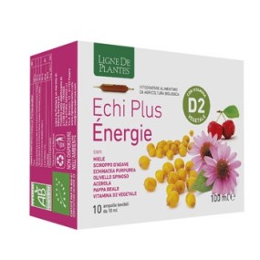 ECHI PLUS ENERGIE 10 AMPOLLE DA 10 ML